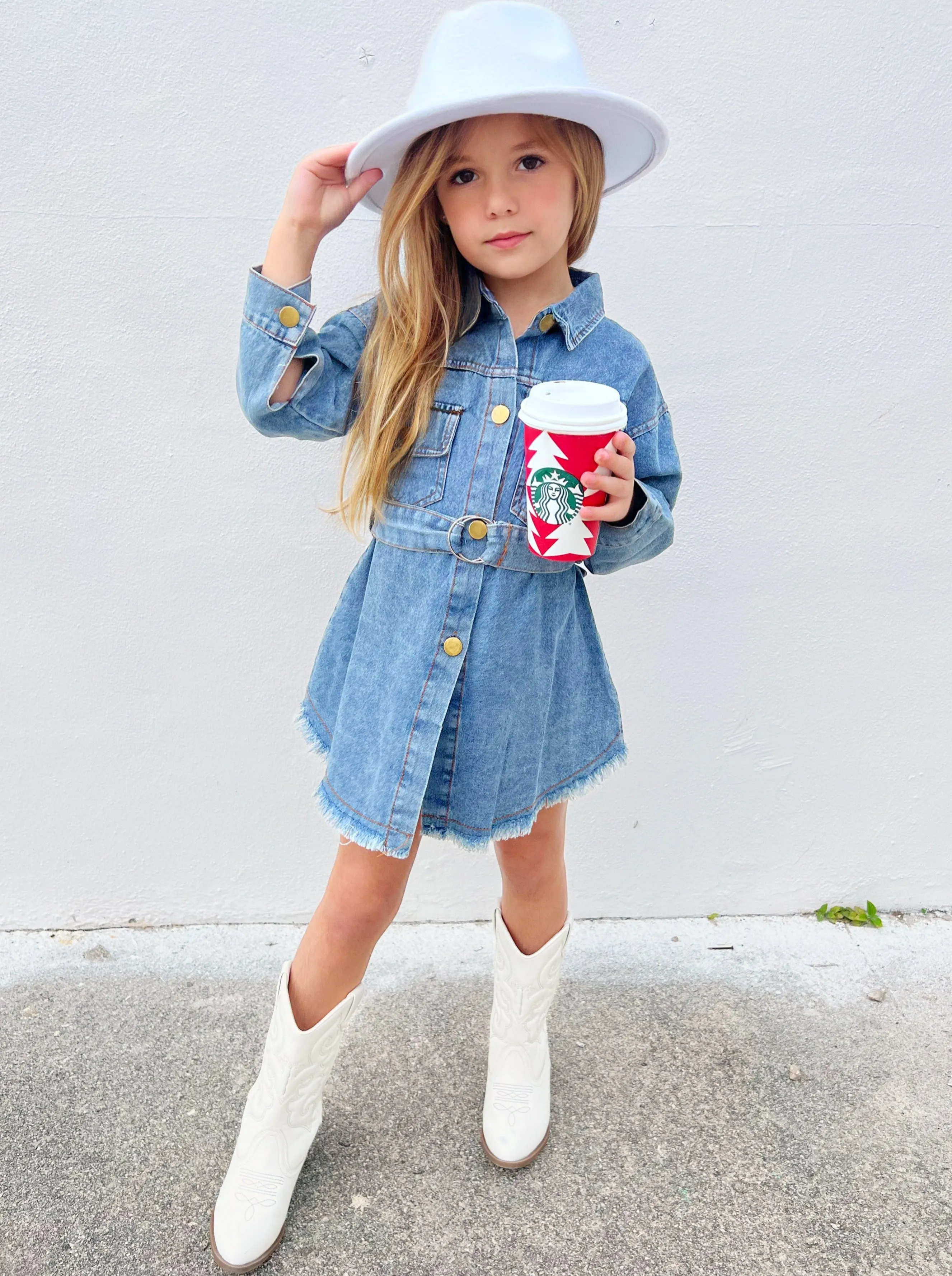 A Day In The Sun Belted Denim Dress