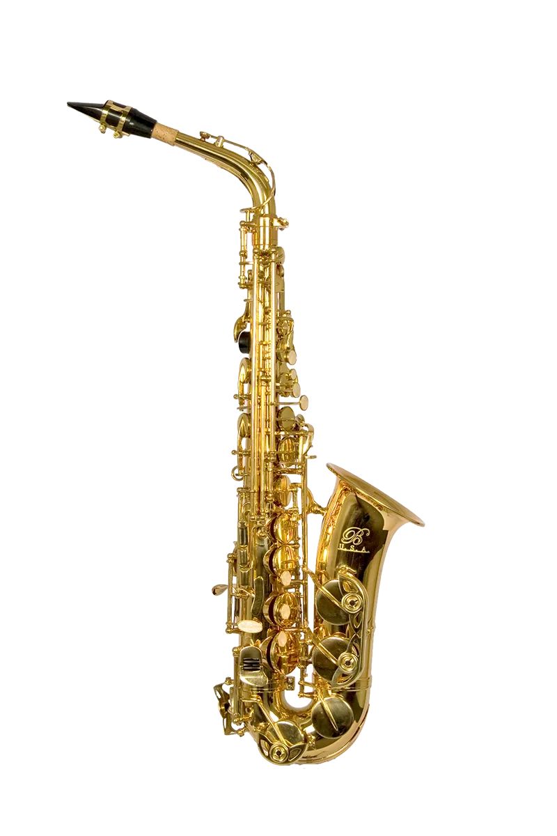 B - U.S.A. Alto Saxophone Lacquer - Gold Color