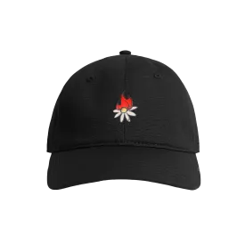 Burning Daisy Black Hat