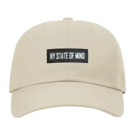 Kids Banner Logo Dad Hat