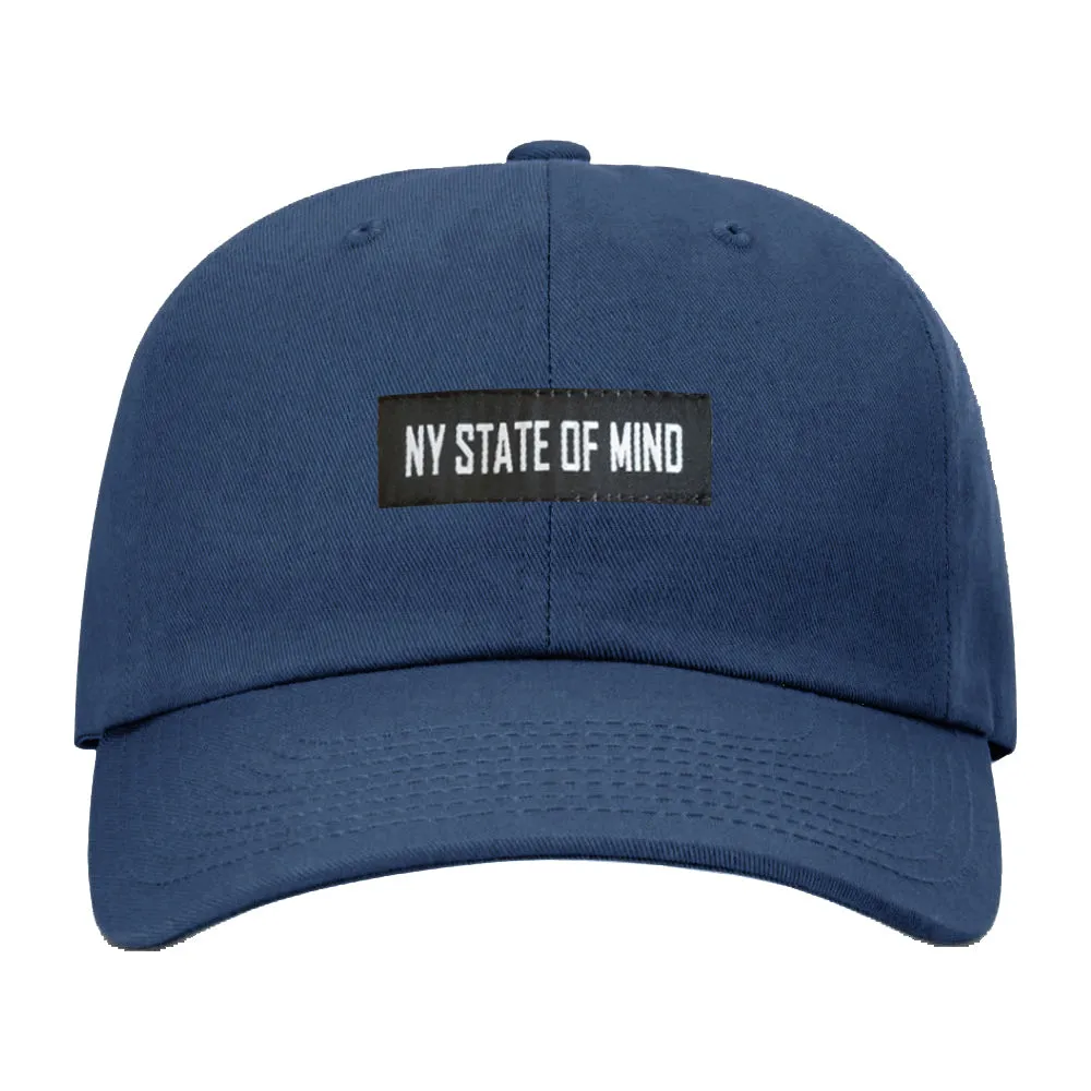 Kids Banner Logo Dad Hat