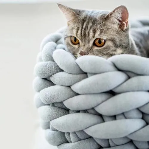 Knitted Pet Bed