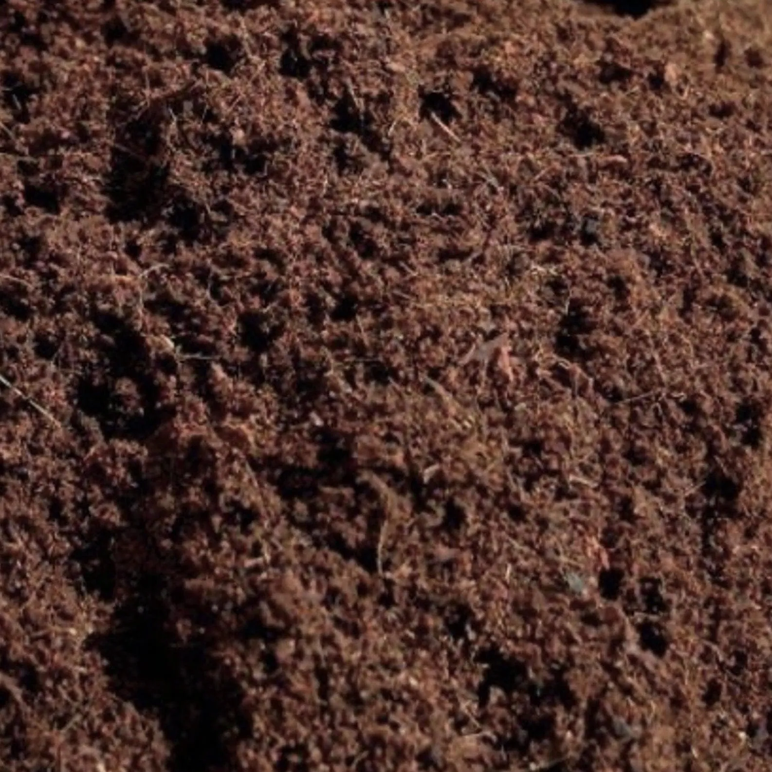 'Myco Coco' Loose Coco Coir Substrate & Casing Layer